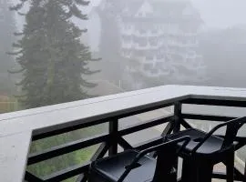 A356 Silverpark Resort lifted unit 5th floor