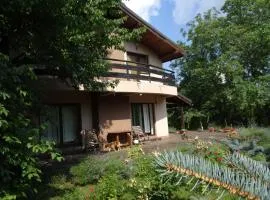 潘吉尼竹园 - 别墅