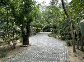 Dennis Road Guesthouse Bed and Breakfast