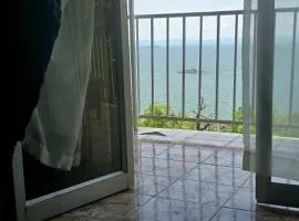 Hippo Paradise Mica 1