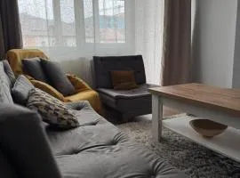 Crystal Modern Apartment