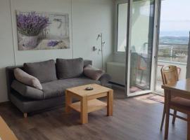 Appartement mit schöner Weitsicht auf Bodensee und Berge，位于Oberteuringen的酒店