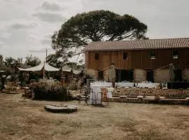Domaine de Barthas