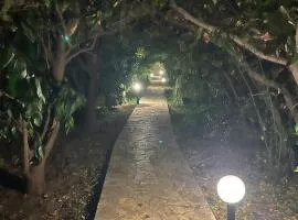 Villa Plomari On The Sea - Entire House or Single Villa