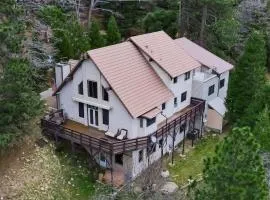 Vista Lodge! 20 min to Silverwood Lake