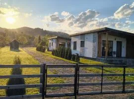 F A N BunGALow Vama Buzăului