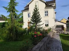 Chambres Eugène et Gabrielle, La Villa de Fraize