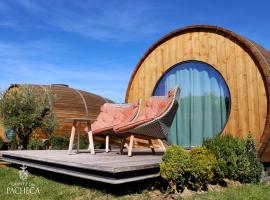 Pacheca The Wine House Hotel e Spa - Quinta da Pacheca，位于拉梅戈的酒店