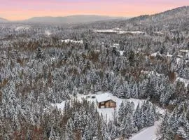 Private Forest Spa Retreat - Modern Chalet