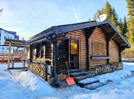 Cabana Transalpina Retreat，位于欧巴西亚洛德洛伊的酒店