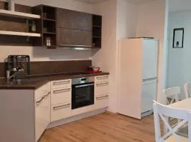 Wohnung für Monteure und beruflich Reisende