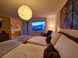 Fli Apartment，位于韦森的酒店