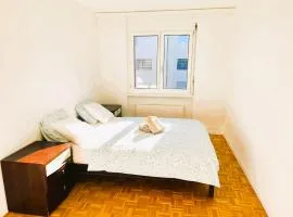 Large Flat with Balcony in Zurich, Kar