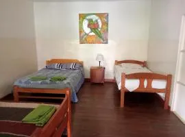 Casa Verde
