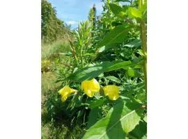 Holiday home with 3 bedrooms