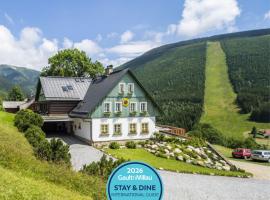 Pension Slunečnice & Panorama Restaurant Farma，位于什平德莱鲁夫姆林的带停车场的酒店