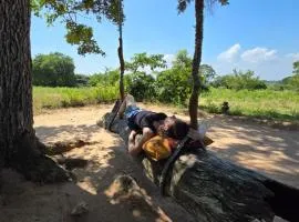 The Campers Lodge Yala