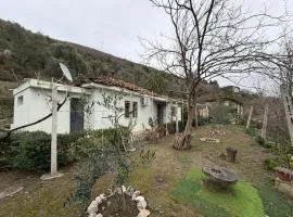 House in the village 1