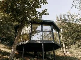 Open View Place Octagon