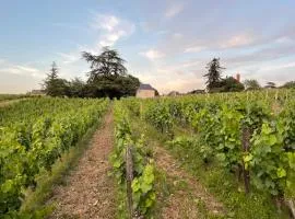 Pavillon du XIXème au milieu des vignes