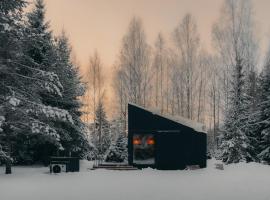 Briežu Stacija Forest Cabin with Hot Tub，位于利加特内的木屋