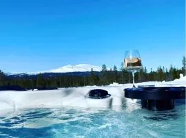 Modern cabin with jacuzzi near Trysil alpine