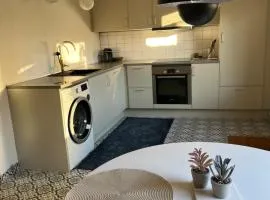 Odense CityCenter Townhouse - free parking