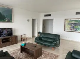 Apartment 3 BDR Plateau Centre