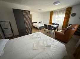 SALGIRDO svečių namai