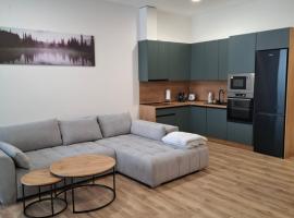 Luxusný Apartmán Central Point s terasou O，位于胡门内的酒店