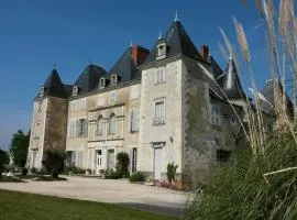 Château de piolant