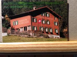 Casa Schuoler，位于迪森蒂斯的酒店