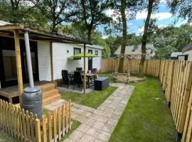 Chalet Vuurvlieg - In Bosrijke Omgeving In Drenthe