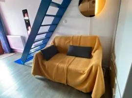 Studio cosy chambre mansardee Monnet-Mermoz Tram Métro 15 mnParis