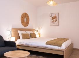 Studio chic proche aéroport et centre-ville，位于沙勒罗瓦的酒店