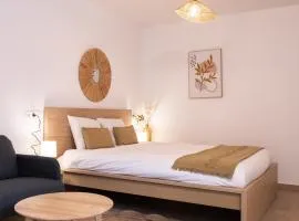 Studio chic proche aéroport et centre-ville