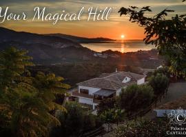 Palacio de Cantalobos，位于阿尔姆尼卡的酒店