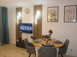 Hilton Appartment in Egelsbach!