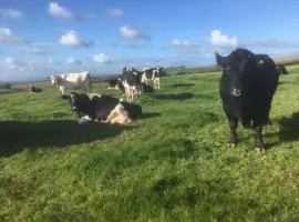 North Hollacombe Farm