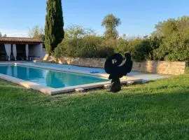Le Mas Caché - Charming house in the countryside