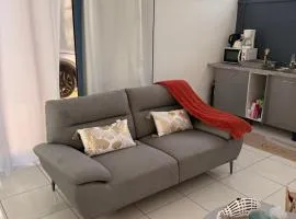 Charmant T2 sur le robert