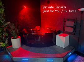 Jacuzzi Cinema Loft，位于考纳斯的酒店