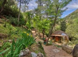 Cascada de las Animas