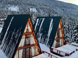 A-Peak Mestia Cottages & Sauna，位于Lanchvali的带热水浴缸的酒店