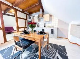 Duplex de Charme - Turckheim - Route des Vins