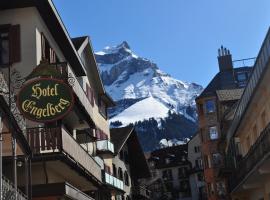 Hotel Engelberg "das Trail Hotel"，位于英格堡的酒店