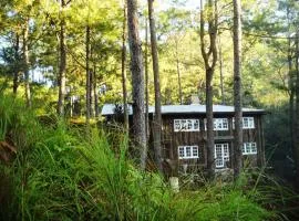 Forest lodge - Entire rental