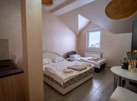 Hotel Sjever，位于Šavnik的酒店