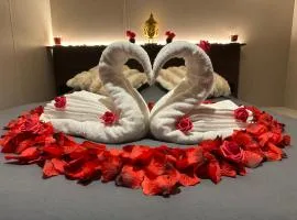 Tiny house 3 à 4 personnes