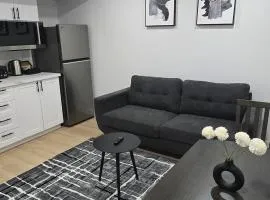 Cozy 1-Bedroom Private Basement Suite in Winnipeg with separate entrance